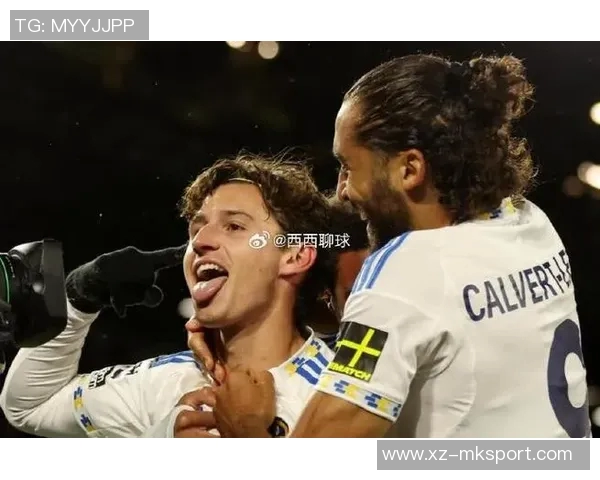 英超精彩回顾利兹联在主场战胜西汉姆展现强大实力